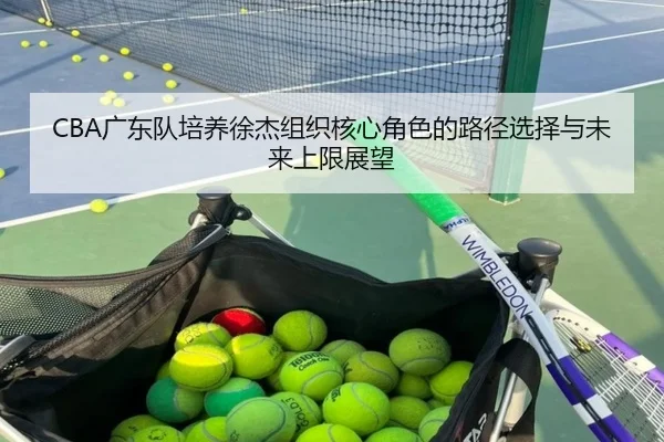 CBA广东队培养徐杰组织核心角色的路径选择与未来上限展望