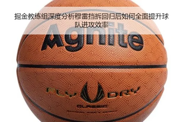 掘金教练组深度分析穆雷挡拆回归后如何全面提升球队进攻效率